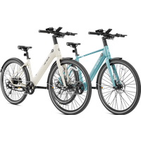 Heybike EC 1 & EC 1-ST Combo