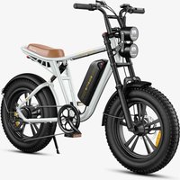 ENGWE M20 Electric Bike 25 km/h Dual Suspension Single Battery