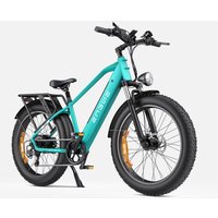 ENGWE E26 Electric Bike 25 km/h Dual Suspension Fat Tyre E-bike