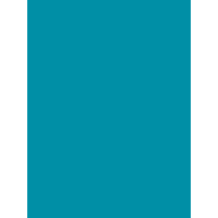 Ribble Touch Up Paint R872 Teal